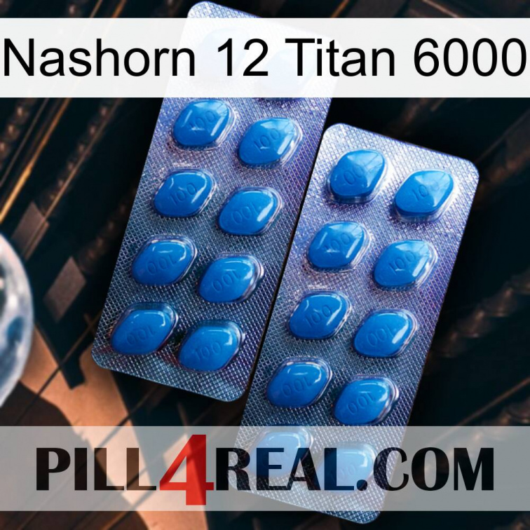Rhino 12 Titanium 6000 viagra2
